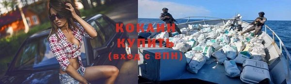 винт Каменка