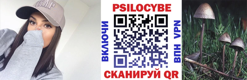 МЕГА как зайти  Волгодонск  Псилоцибиновые грибы MAGIC MUSHROOMS 