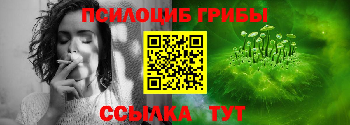Галлюциногенные грибы Psilocybine cubensis  Псилоцибиновые грибы Psilocybine cubensis  магазин продажи наркотиков  Вход с VPN  Волгодонск 